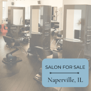 dupage county business for sale